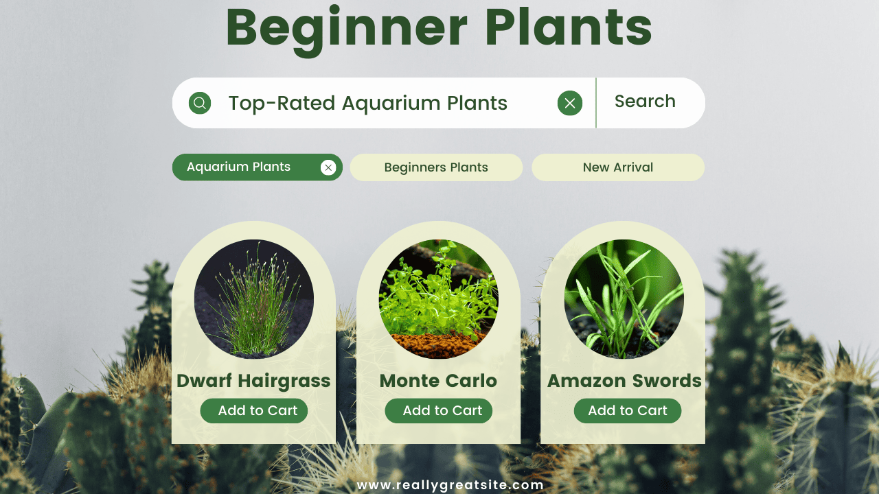 Top-11-Freshwater-Aquarium-Plants