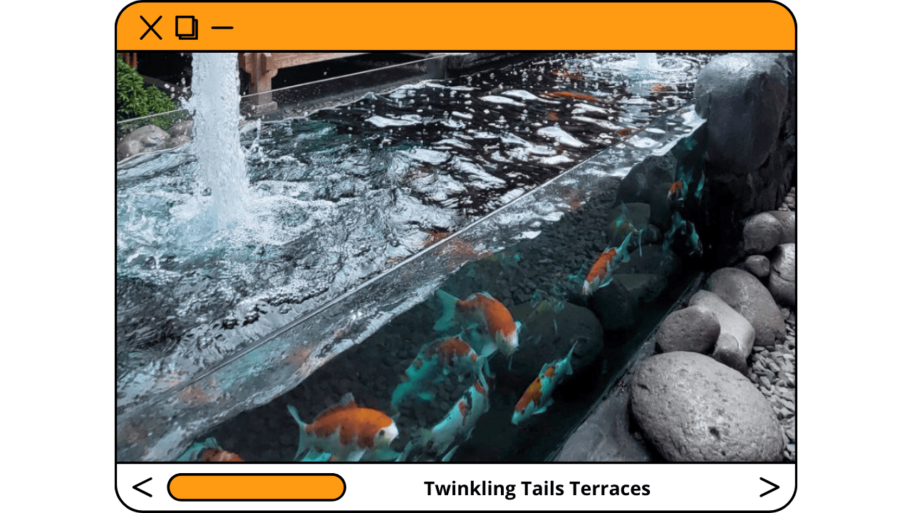 Twinkling-Tails-Terraces