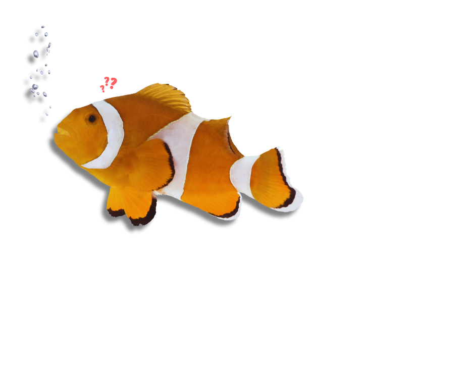 A cartoonish clownfish with vibrant orange and white stripes, puzzled expression with question marks, and a trail of bubbles against a white background, invoking a sense of curiosity and wonder.