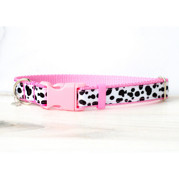 Buy Anime Dog Collar Online In India  Etsy India