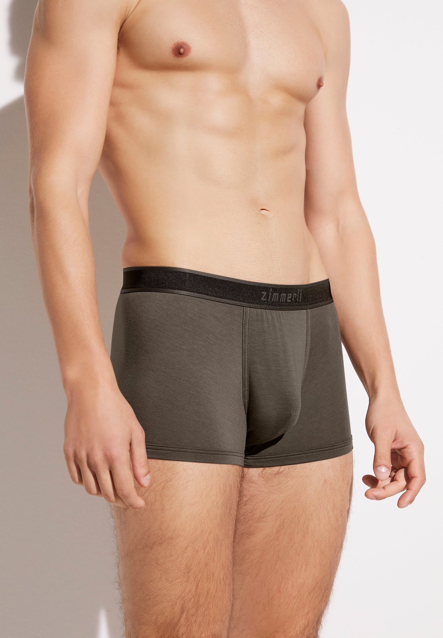 Zimmerli Royal Classic Hip-Slip Brief Pure Swiss Cotton Lisle Made in  Switzerland –