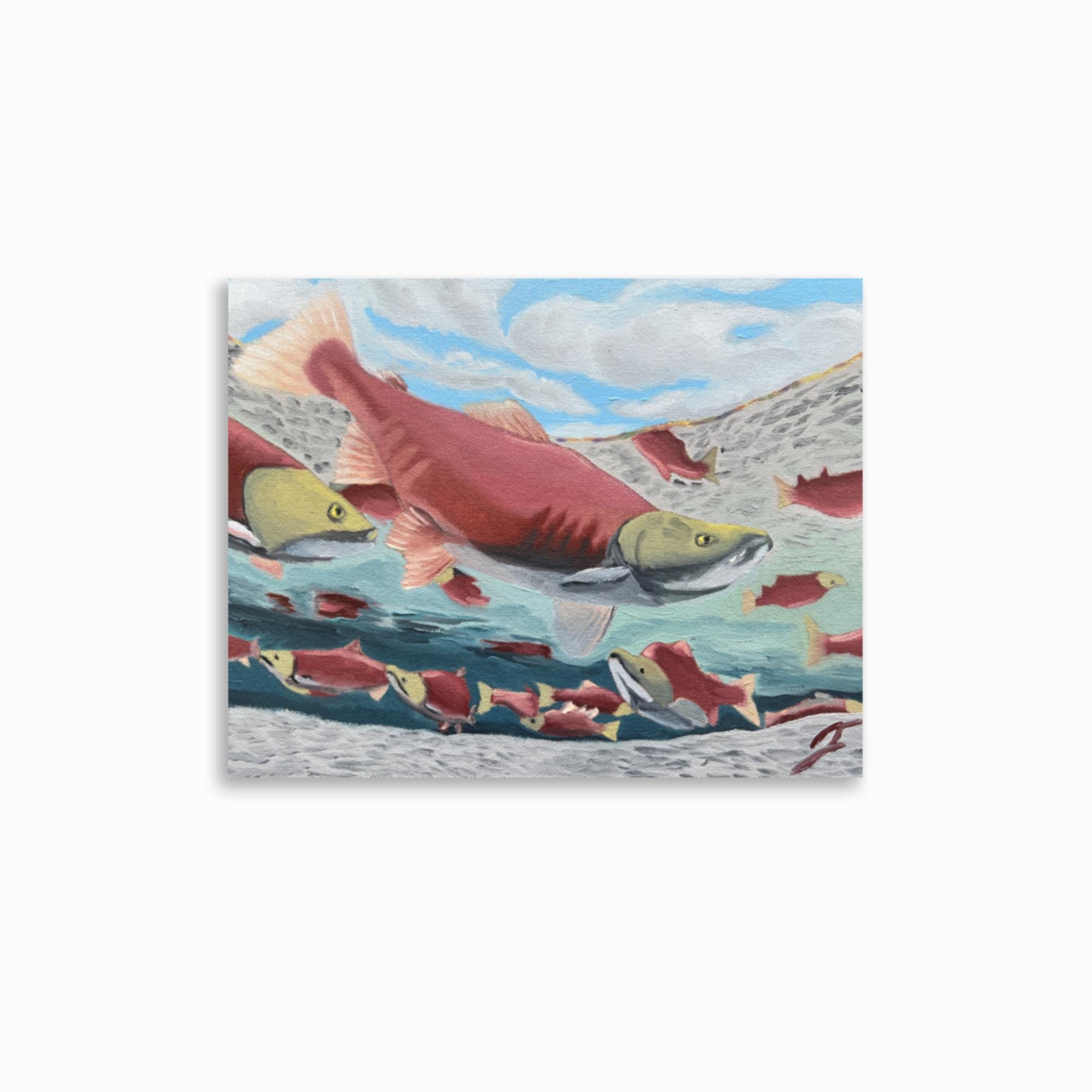 Salmon Run Print