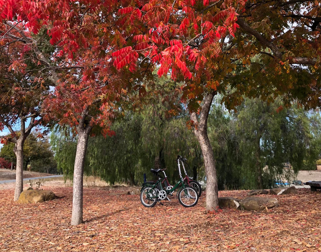 blix bikes in fall leaves