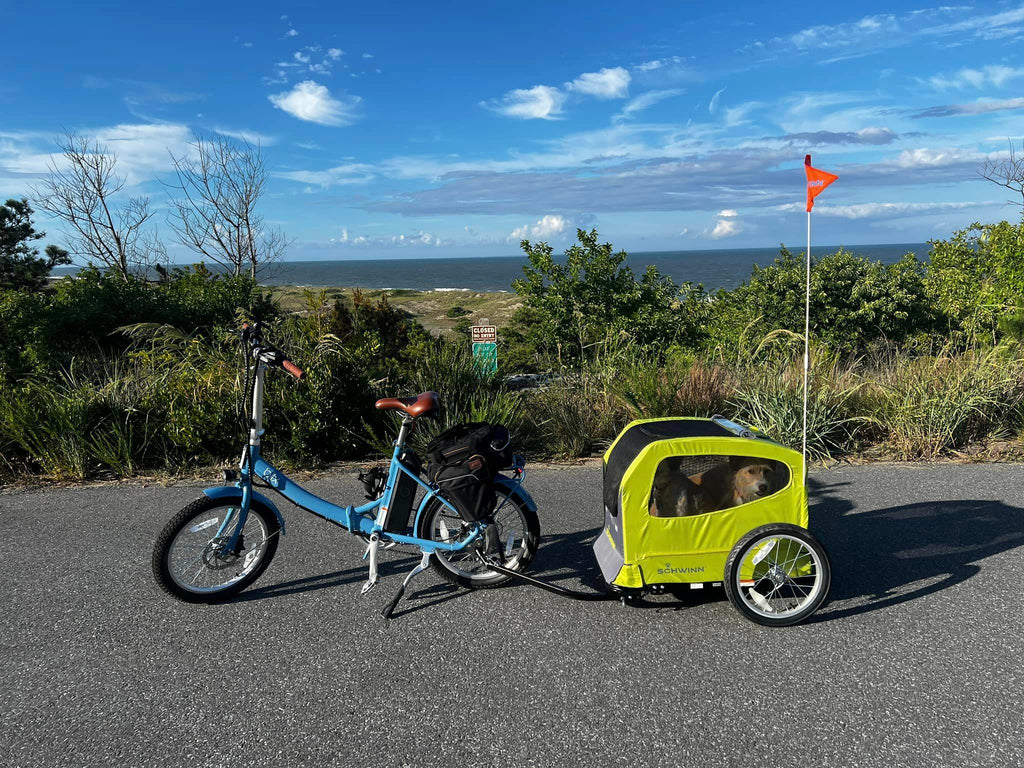 Vika+ with dog trailer