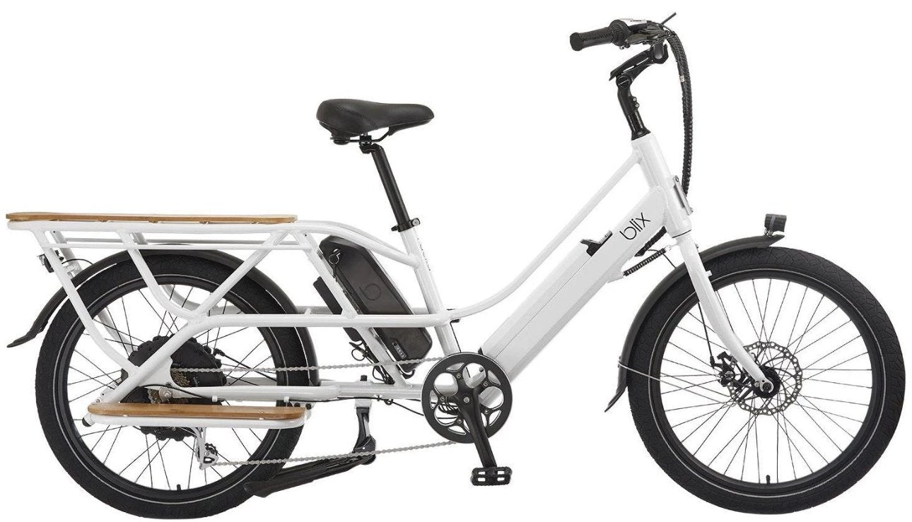 electric bike with cargo carrier