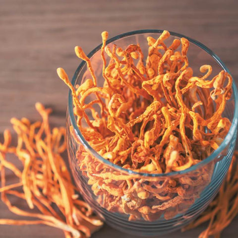 cordyceps mushroom energy anxiety relief