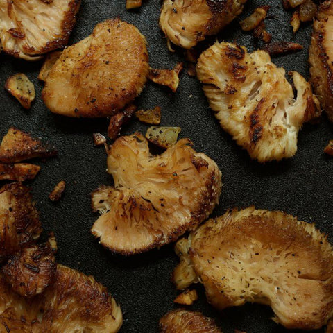 lions mane mushroom recipes holistic health organic food superfood