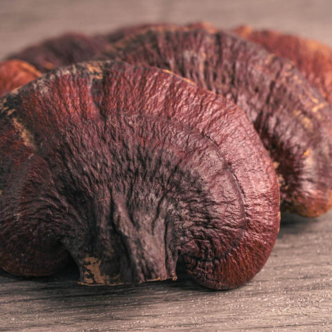 reishi mushroom sleep aid