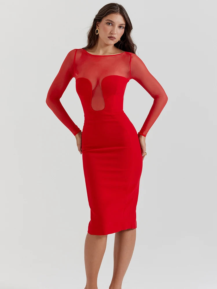 See Through Mesh Patchwork Long Sleeve Midi Dress