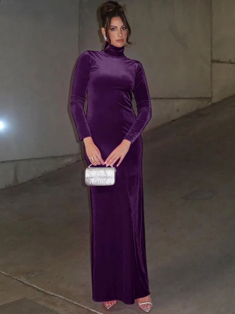 Turtleneck Long Sleeve Bodycon Maxi Dress