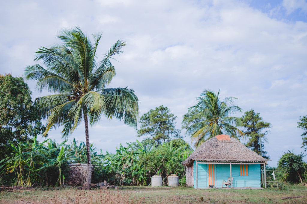 Gardner Tours Colorful Country Home and Palm Trees in La Oliva Cuba