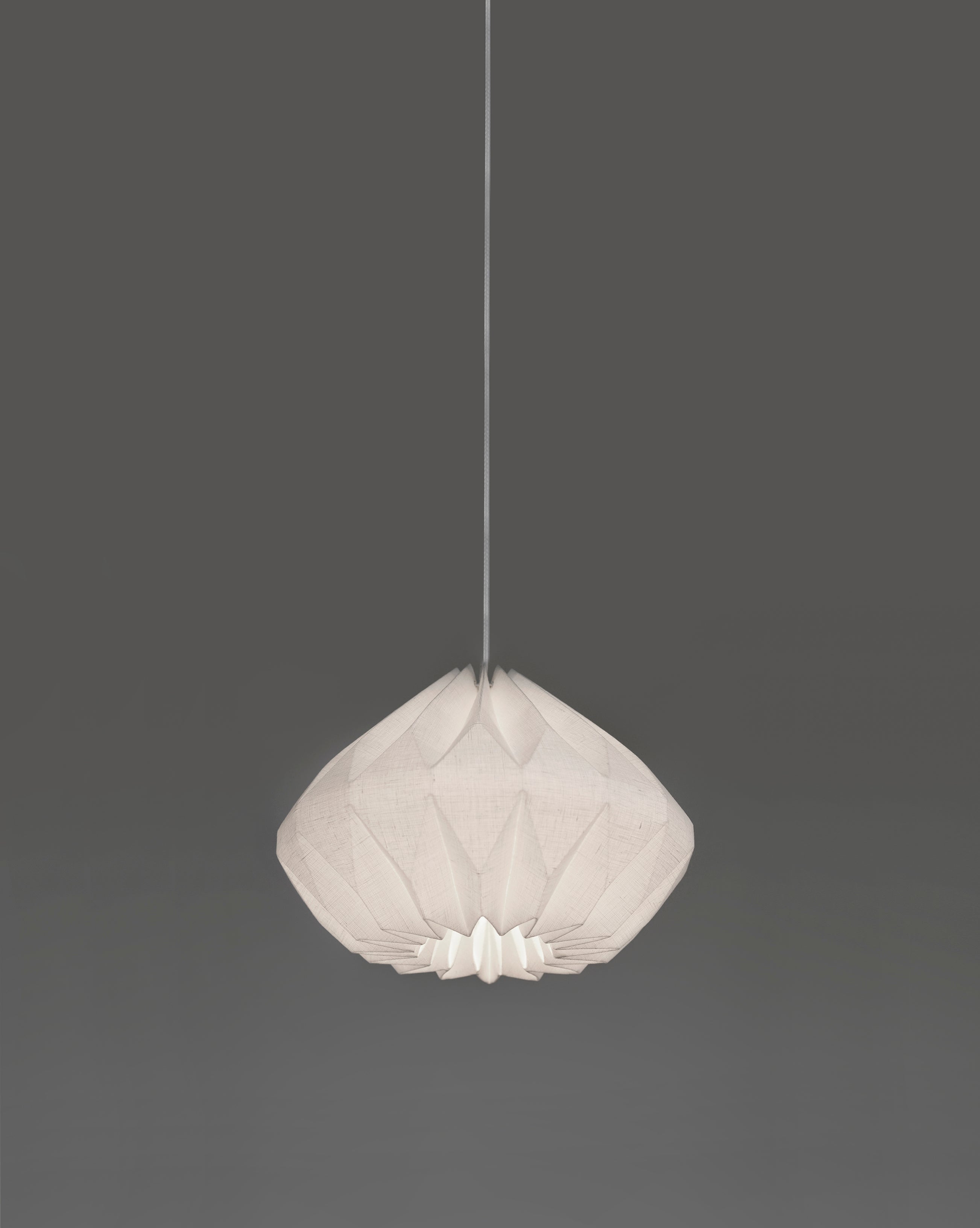 Modern Pendant Lamp – laloupedesign