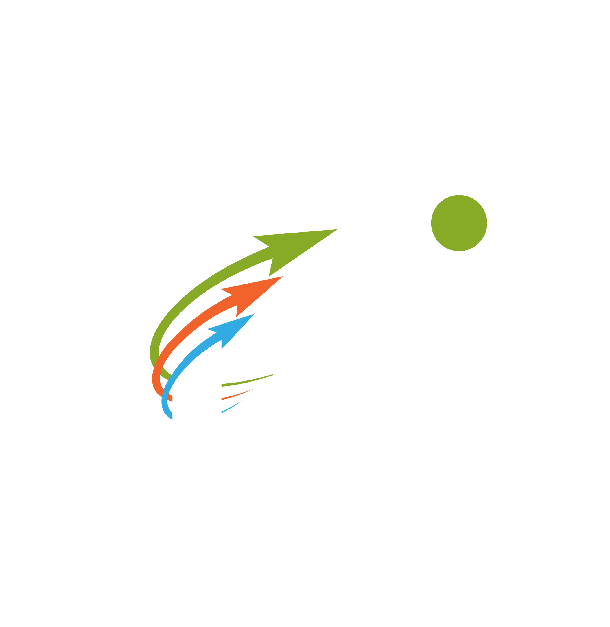 TDI Software Logo