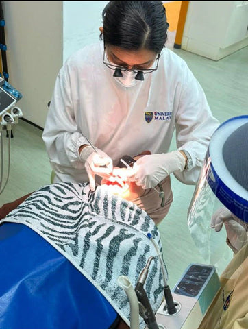 Female dentist performing a dental procedure on a patient using the dental burs sold by mr bur the best international dental bur supplier