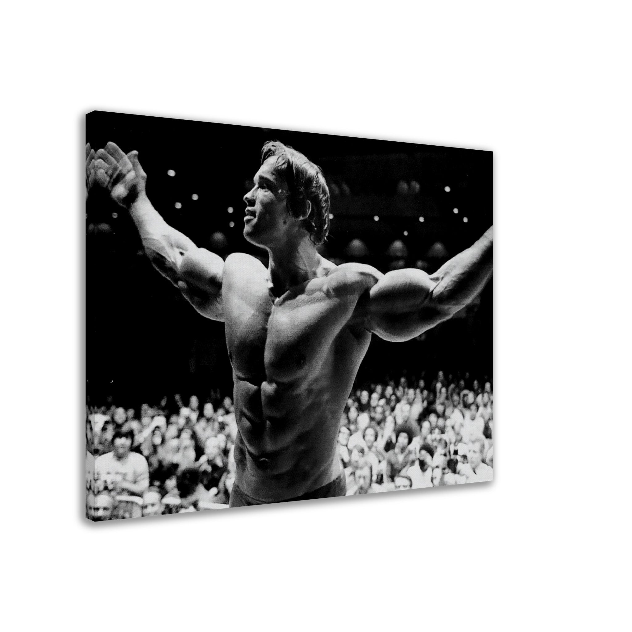 Arnold Schwarzenegger Poster Classic Bodybuilding Poster Canvas Prints Gym  Inspirational Poster, Wall Art For Home Office Bedroom Decorations Unframed  32