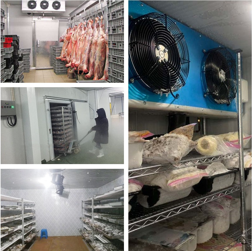 Seafood and Meat freezer room