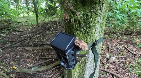 Voopeak TC7 Trail Game Camera: A Comprehensive Review