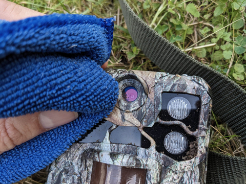 Eight suggestions for hunters to use trail camera