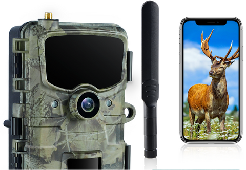 Exploring the Multifaceted Functions of Trail Cameras