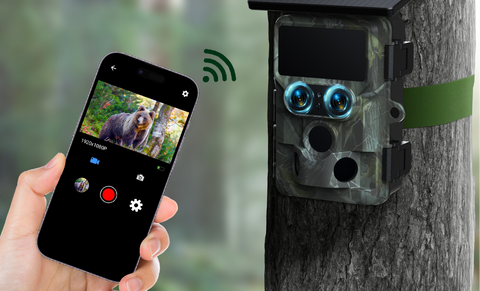 A Comprehensive Beginner's Guide of Trail cameras