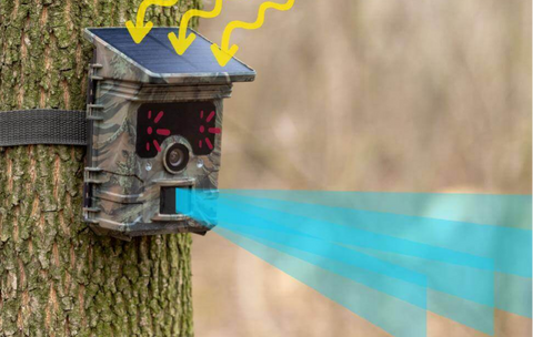 How Does Solar-Powered trail camera work