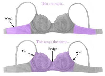 Bra Sister Sizes Mean More Sizes and Options to Try! – The Little