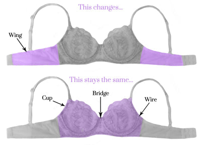 How To Sister Size Bras  What is Sister Sizing? 