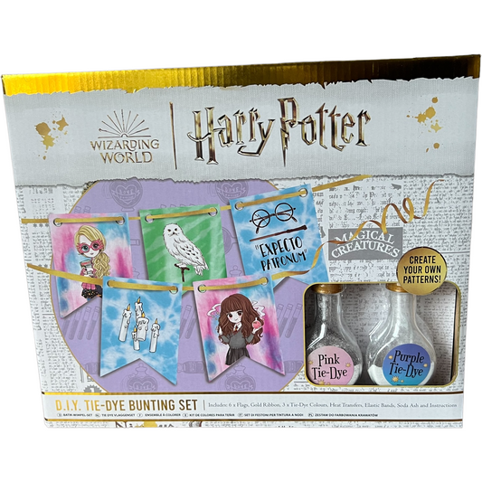 Harry Potter CreArt Paint by Numbers Hermione – The Toy Cavern