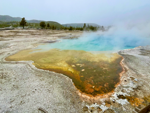 A steaming hot spring at Yellowstone National Park