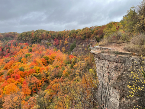 Viewpoint at Dundas Peak with bright orange leaves in Autumn