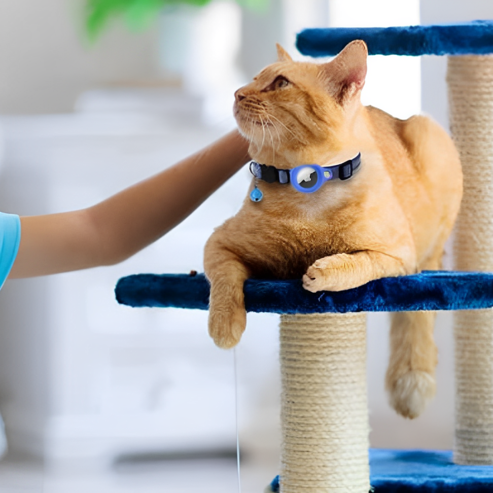 "Kat met lichtblauwe Airtag Halsband voor Katten met GPS-tracking
