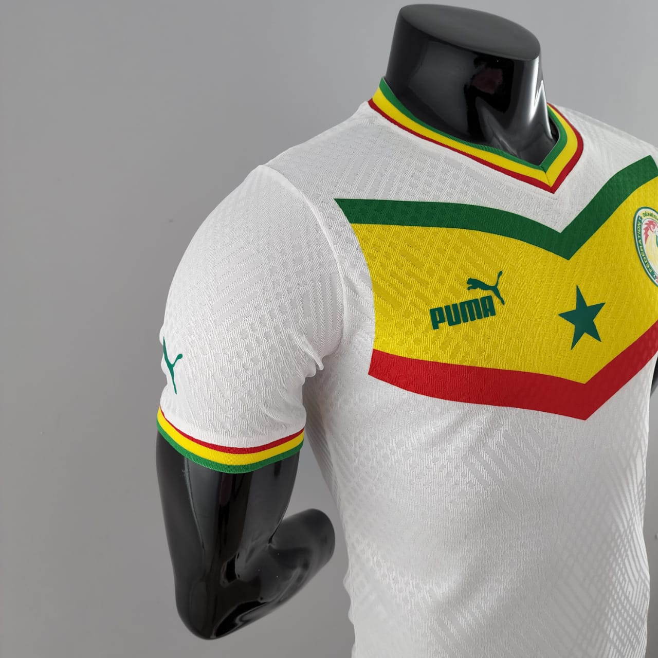 senegal world cup jersey