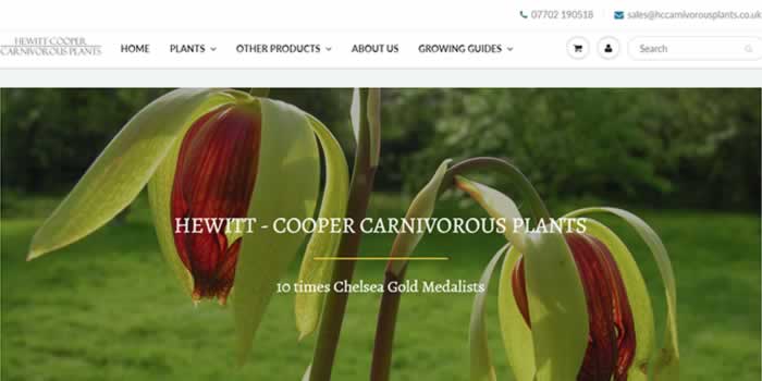 Hewitt-Cooper Carnivorous Plants