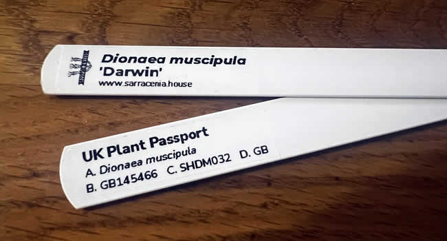 Plant passport labels