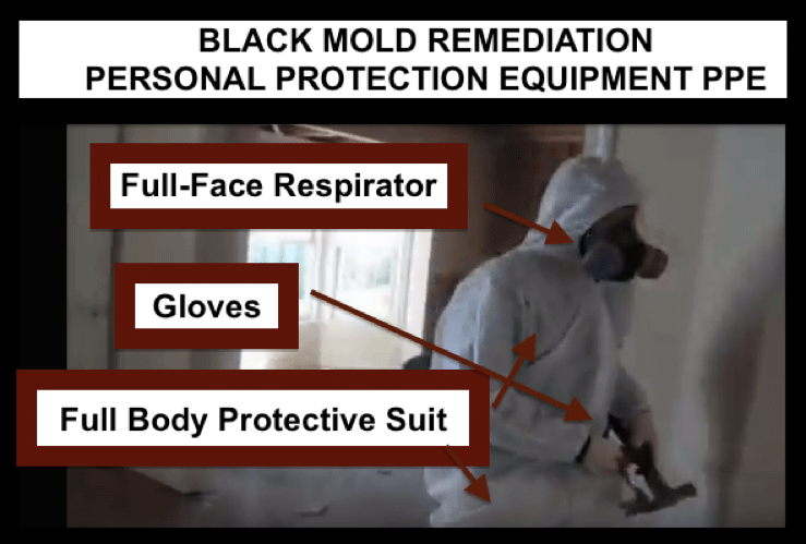 black mold remediation ppe
