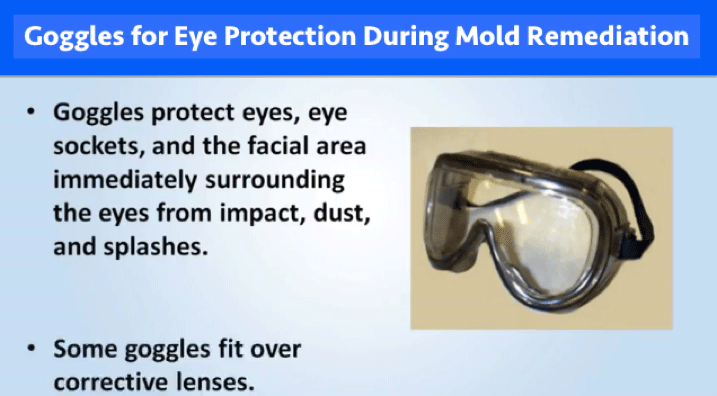 Goggles for Eye Protection During Mold Remediation