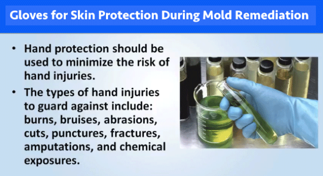 Gloves for Skin Protection During Mold Remediation