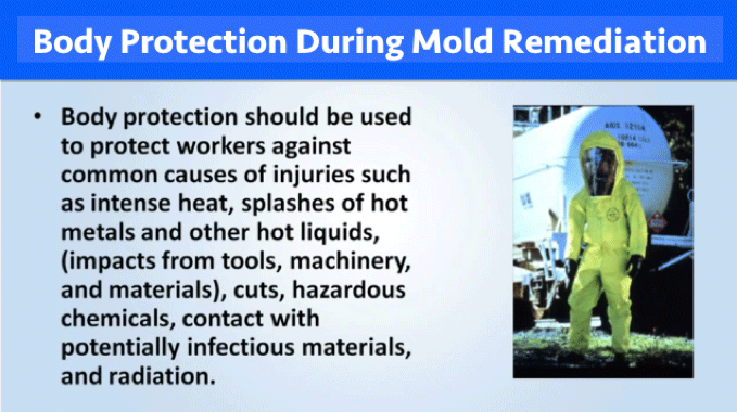 body protection during mold remediation