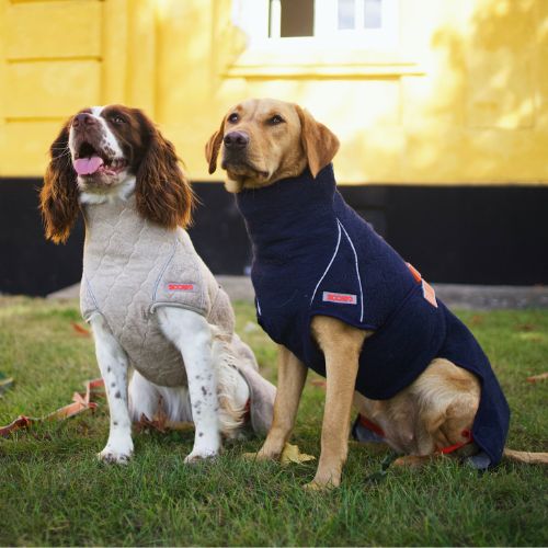 Springer Spaniel and red Labrador Retriever not smelling in their Siccaro Supreme 2.0 drying coats