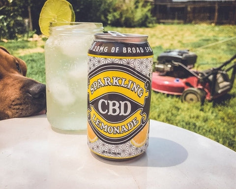 Sparkling CBD drink in mason jar beside Sparkling CBD lemonade can at backyard picnic table beside dog and lawnmower