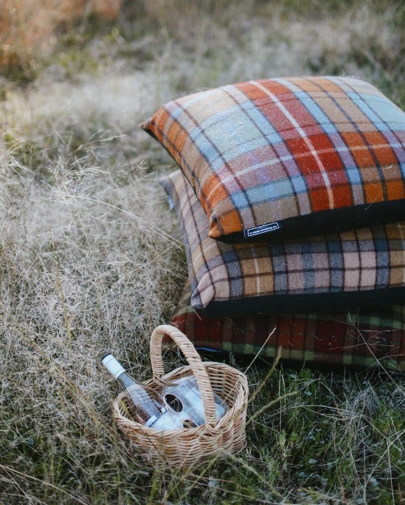 paddock pillows picnic