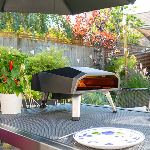 Draco Grills Gas Fired Pizza Oven
