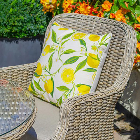 LG Outdoor Lemon Scatter Cushion