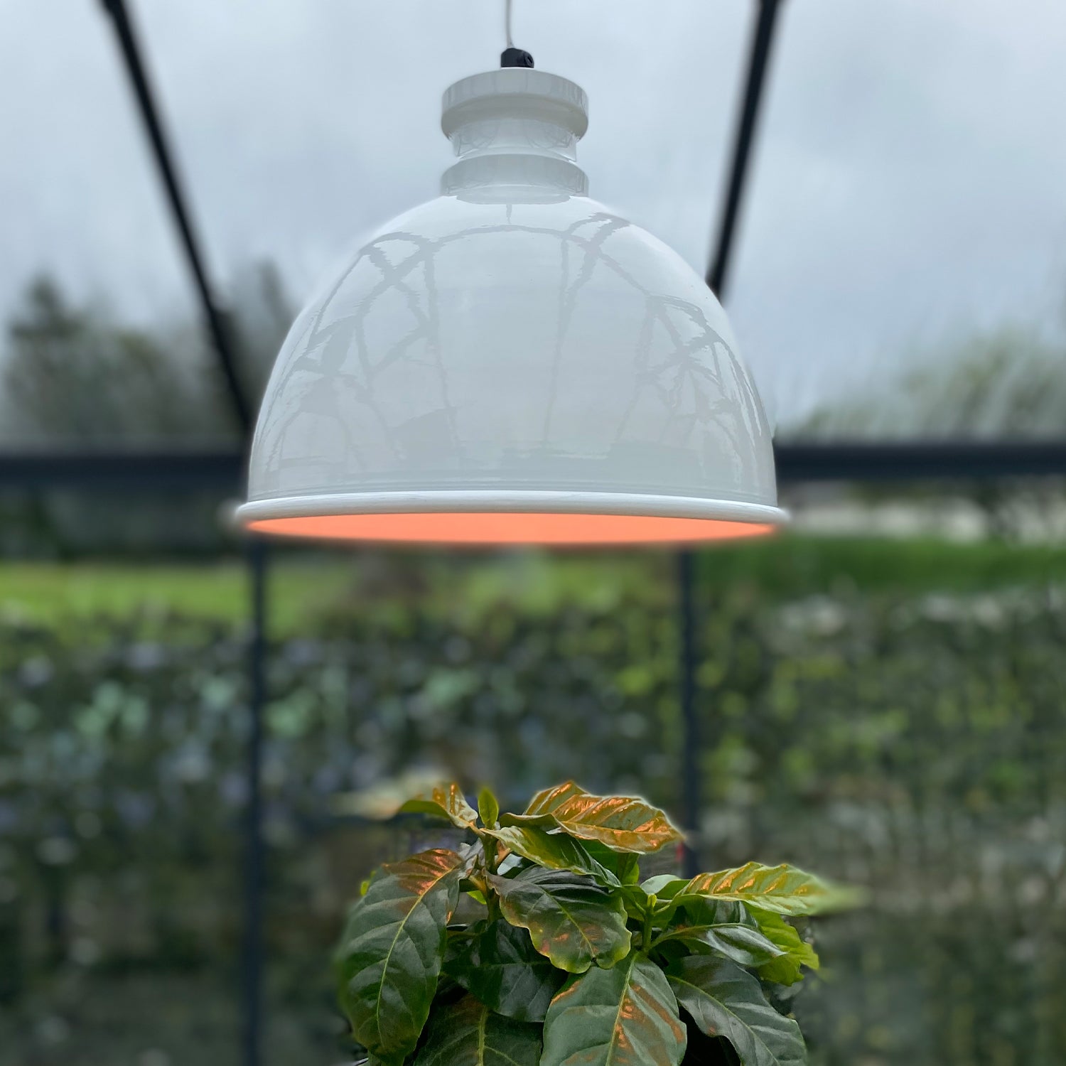 Bio Green LED-Pflanzenlampe Florabooster mit Standfuß
