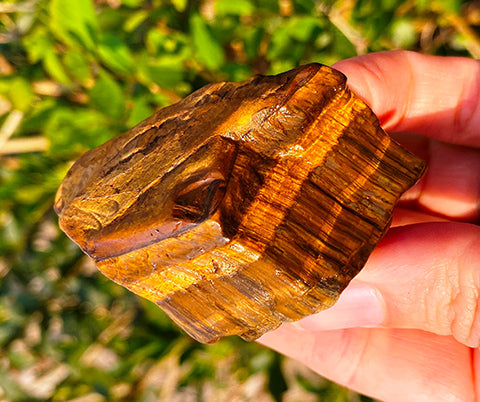 Tigers_Eye