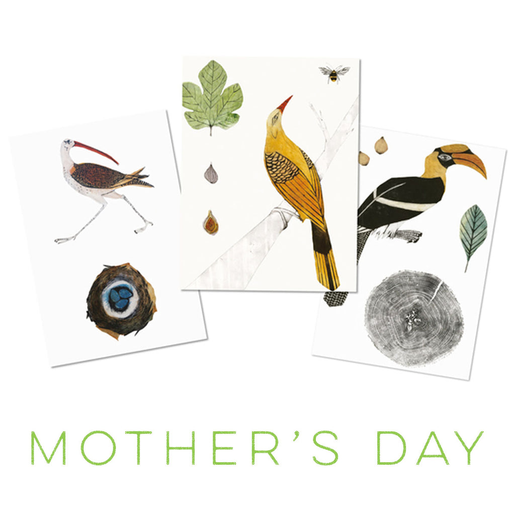 Survival International Mothers Day Cards