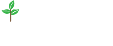 All of Our Bars - YouBar Inc.