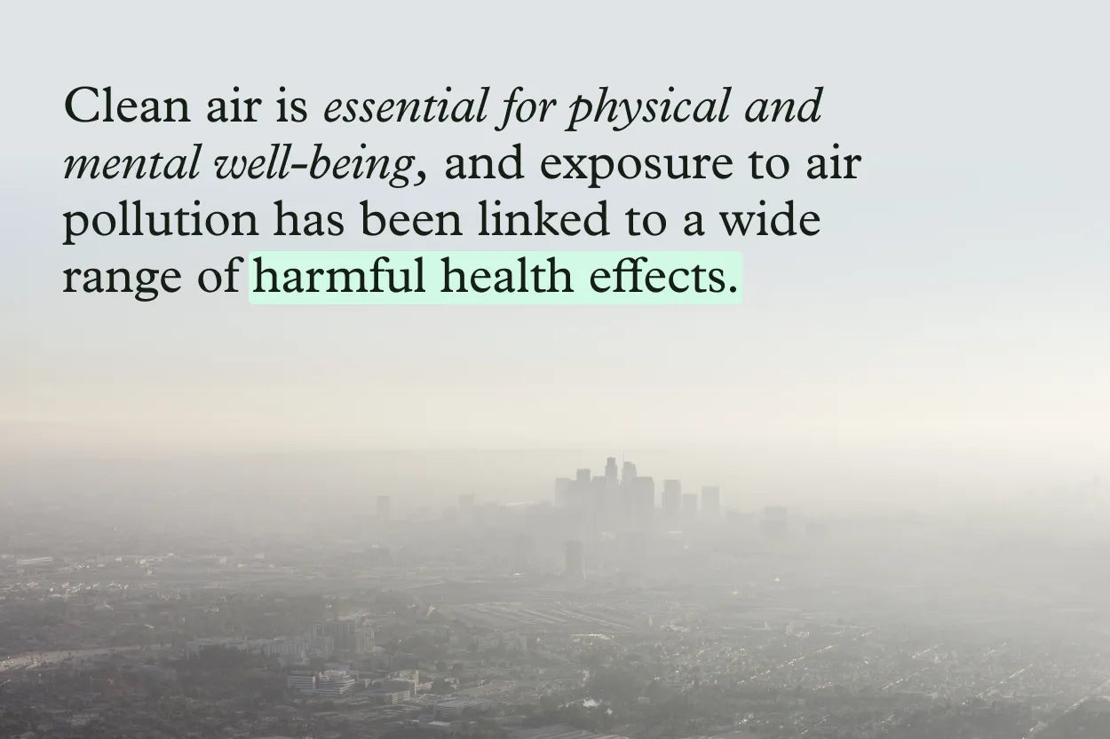 The following quote is overlaid a smoggy city landscape: "Clean air is essential for physical and mental well-being, and exposure to air pollution has been linked to a wide range of harmful health effects."