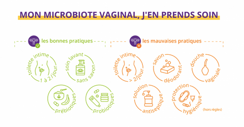 The Serious Gut prendre soin de son microbiote vaginal