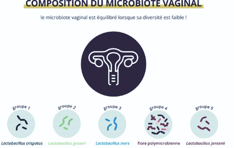 The Serious Gut Composition du microbiote vaginal